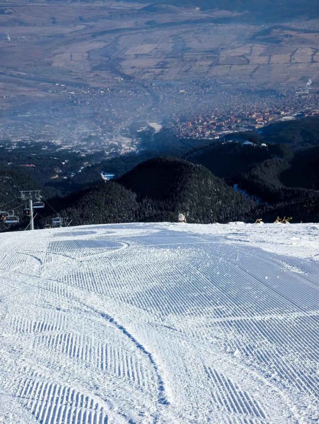 плевнята *
